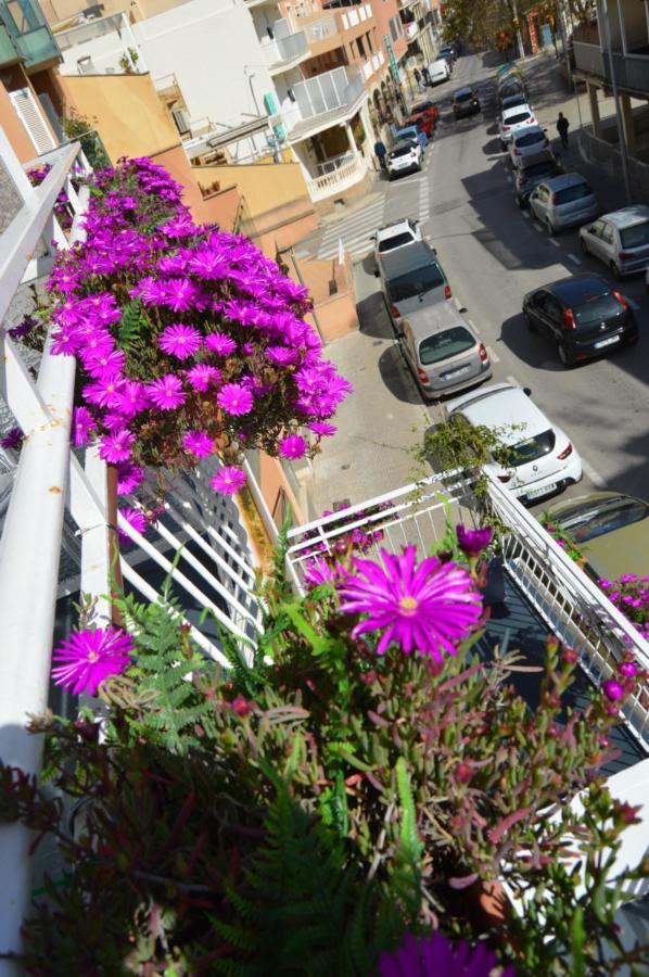 Mar Del Plata (adults Only) Affittacamere El Arenal (Mallorca)