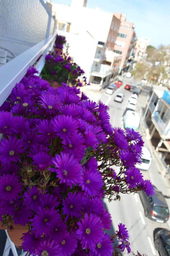 Mar Del Plata (adults Only) Gasthof El Arenal (Mallorca)